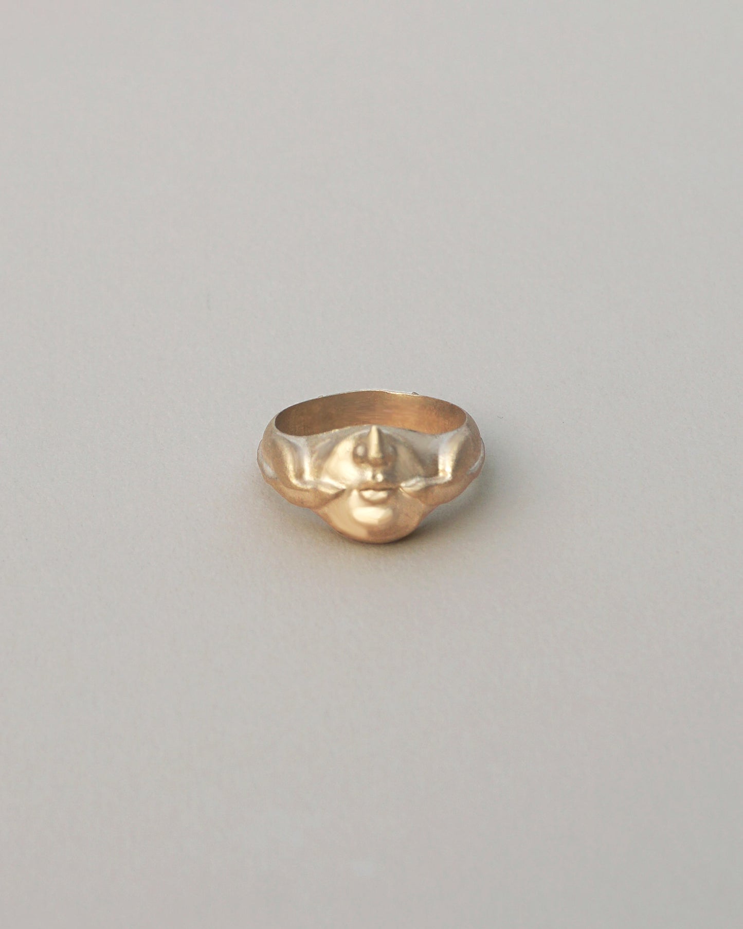 SWALLOW RING