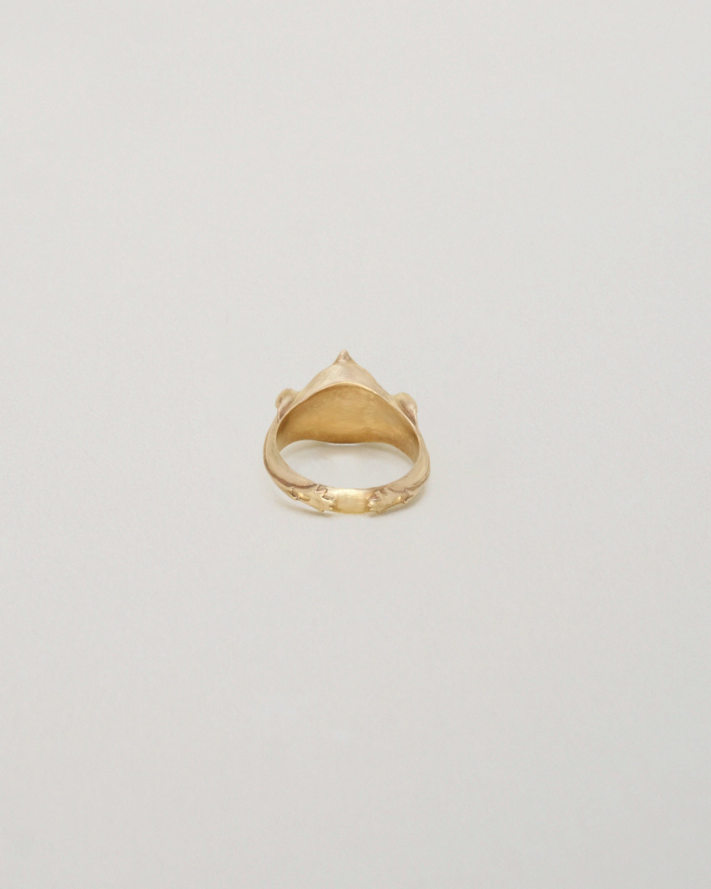 SWALLOW RING