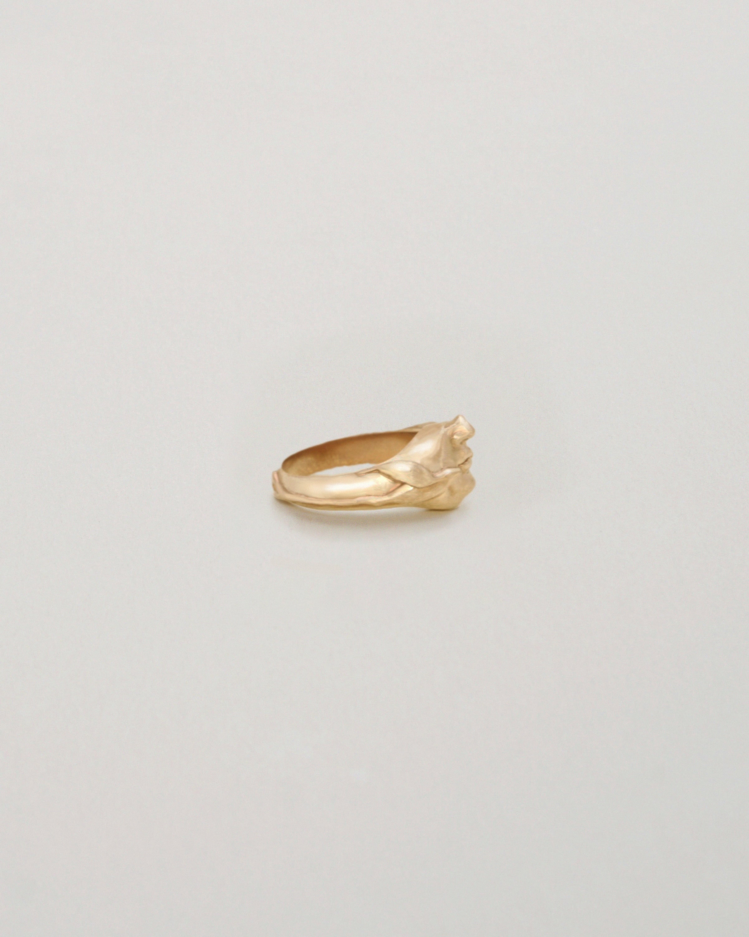 SWALLOW RING